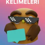 yks dil yayın kelimeler